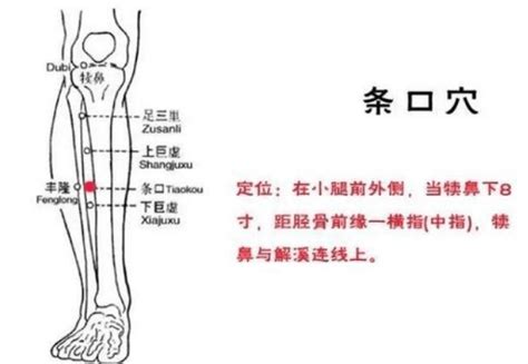 口穴|条口